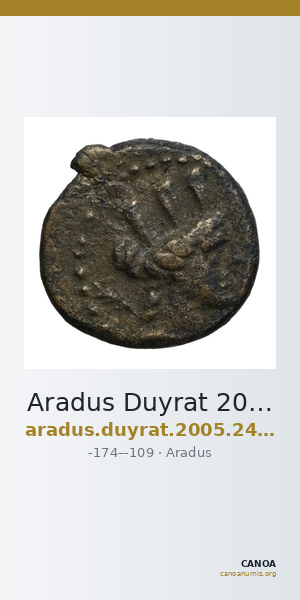 Aradus Duyrat 2005 2495-2572 — CANOA