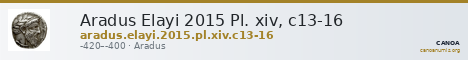 Aradus Elayi 2015 Pl. xiv, c13-16 — CANOA