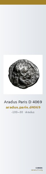 Aradus Paris D 4069 — CANOA