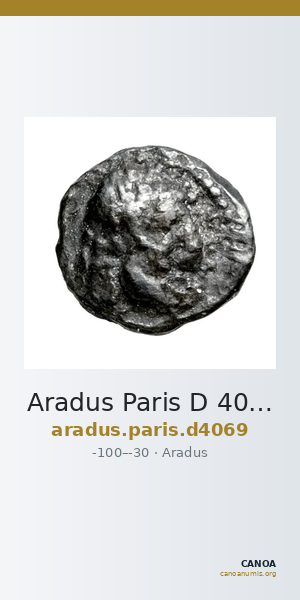 Aradus Paris D 4069 — CANOA