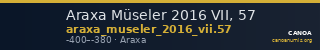 Araxa Müseler 2016 VII, 57 — CANOA