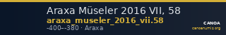 Araxa Müseler 2016 VII, 58 — CANOA