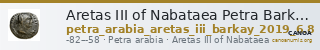 Aretas III of Nabataea Petra Barkay 2019 6, 8 — CANOA