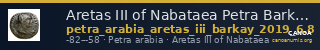 Aretas III of Nabataea Petra Barkay 2019 6, 8 — CANOA
