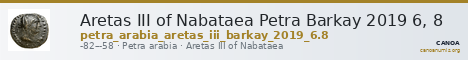Aretas III of Nabataea Petra Barkay 2019 6, 8 — CANOA