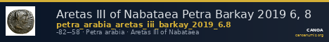 Aretas III of Nabataea Petra Barkay 2019 6, 8 — CANOA