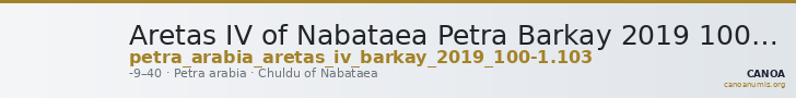 Aretas IV of Nabataea Petra Barkay 2019 100-1, 103 — CANOA