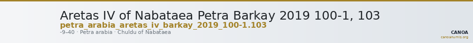 Aretas IV of Nabataea Petra Barkay 2019 100-1, 103 — CANOA