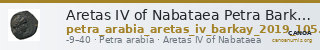 Aretas IV of Nabataea Petra Barkay 2019 105, 107 — CANOA
