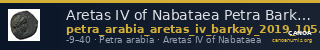 Aretas IV of Nabataea Petra Barkay 2019 105, 107 — CANOA