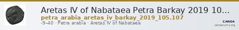 Aretas IV of Nabataea Petra Barkay 2019 105, 107 — CANOA