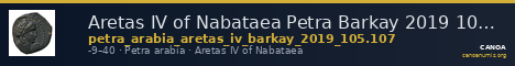 Aretas IV of Nabataea Petra Barkay 2019 105, 107 — CANOA