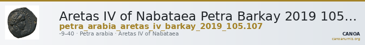 Aretas IV of Nabataea Petra Barkay 2019 105, 107 — CANOA