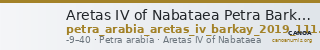 Aretas IV of Nabataea Petra Barkay 2019 111, 126 — CANOA