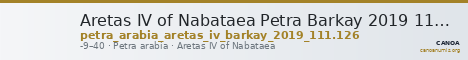 Aretas IV of Nabataea Petra Barkay 2019 111, 126 — CANOA