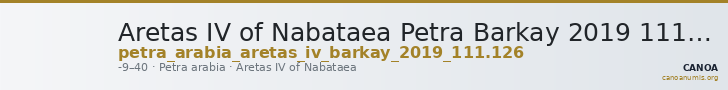 Aretas IV of Nabataea Petra Barkay 2019 111, 126 — CANOA