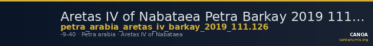 Aretas IV of Nabataea Petra Barkay 2019 111, 126 — CANOA