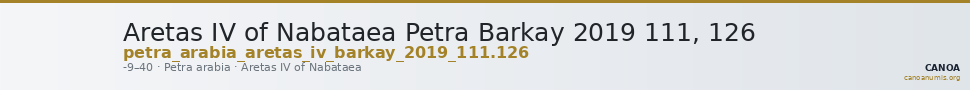 Aretas IV of Nabataea Petra Barkay 2019 111, 126 — CANOA