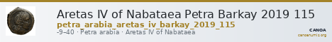 Aretas IV of Nabataea Petra Barkay 2019 115 — CANOA