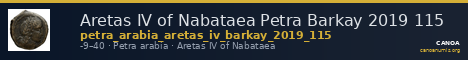 Aretas IV of Nabataea Petra Barkay 2019 115 — CANOA