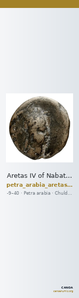 Aretas IV of Nabataea Petra Barkay 2019 132, 136 — CANOA