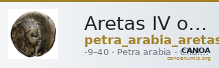 Aretas IV of Nabataea Petra Barkay 2019 132, 136 — CANOA