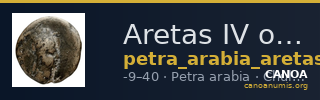 Aretas IV of Nabataea Petra Barkay 2019 132, 136 — CANOA