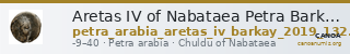 Aretas IV of Nabataea Petra Barkay 2019 132, 136 — CANOA