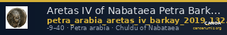 Aretas IV of Nabataea Petra Barkay 2019 132, 136 — CANOA