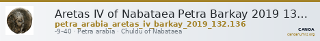 Aretas IV of Nabataea Petra Barkay 2019 132, 136 — CANOA