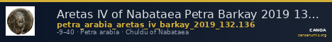 Aretas IV of Nabataea Petra Barkay 2019 132, 136 — CANOA