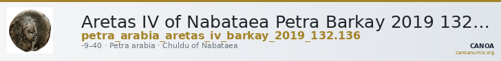 Aretas IV of Nabataea Petra Barkay 2019 132, 136 — CANOA