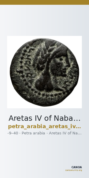 Aretas IV of Nabataea Petra Barkay 2019 133,137 — CANOA