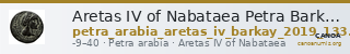 Aretas IV of Nabataea Petra Barkay 2019 133,137 — CANOA