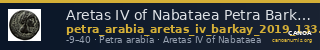 Aretas IV of Nabataea Petra Barkay 2019 133,137 — CANOA
