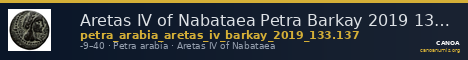 Aretas IV of Nabataea Petra Barkay 2019 133,137 — CANOA