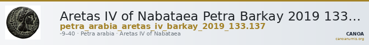 Aretas IV of Nabataea Petra Barkay 2019 133,137 — CANOA