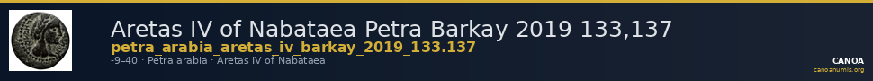 Aretas IV of Nabataea Petra Barkay 2019 133,137 — CANOA