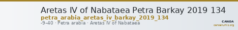 Aretas IV of Nabataea Petra Barkay 2019 134 — CANOA