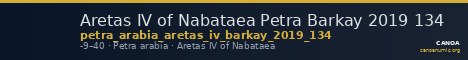 Aretas IV of Nabataea Petra Barkay 2019 134 — CANOA