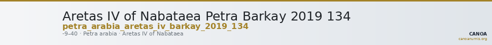 Aretas IV of Nabataea Petra Barkay 2019 134 — CANOA
