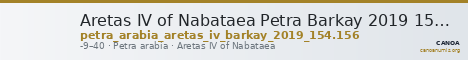 Aretas IV of Nabataea Petra Barkay 2019 154, 156 — CANOA