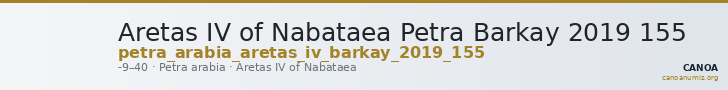 Aretas IV of Nabataea Petra Barkay 2019 155 — CANOA