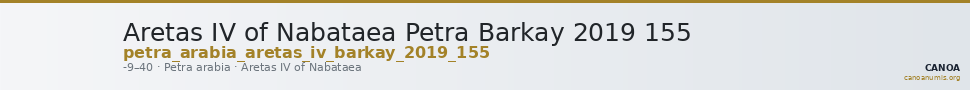 Aretas IV of Nabataea Petra Barkay 2019 155 — CANOA