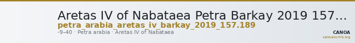 Aretas IV of Nabataea Petra Barkay 2019 157, 189 — CANOA