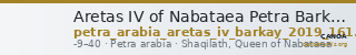 Aretas IV of Nabataea Petra Barkay 2019 161, 169, 173-85 — CANOA