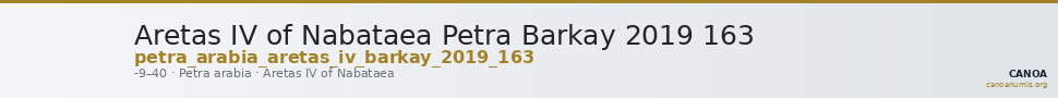 Aretas IV of Nabataea Petra Barkay 2019 163 — CANOA
