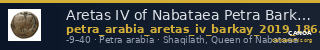 Aretas IV of Nabataea Petra Barkay 2019 186, 188 — CANOA