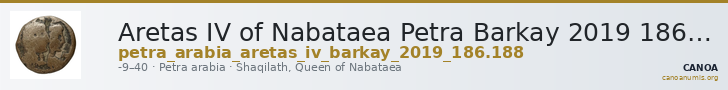 Aretas IV of Nabataea Petra Barkay 2019 186, 188 — CANOA