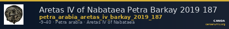 Aretas IV of Nabataea Petra Barkay 2019 187 — CANOA